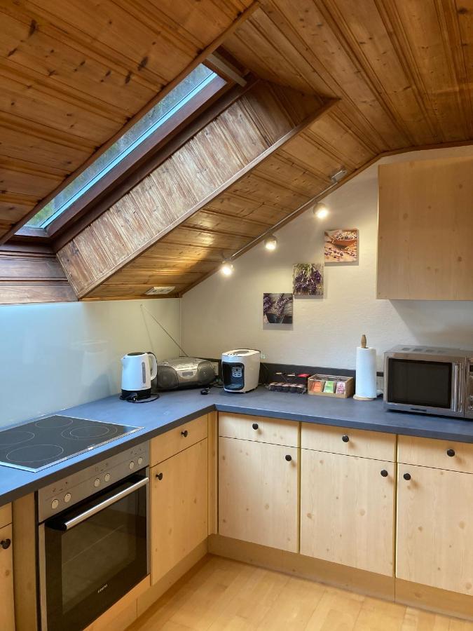 Apartment Stadler Obertraun Esterno foto